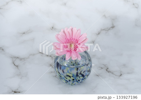 寒色でガラスの一輪挿しに挿し一輪の桃色いガーベラの花(中下配置) 寒色でガラスの一輪挿しに挿し一輪の桃色いガーベラの花(中下配置) 133927196
