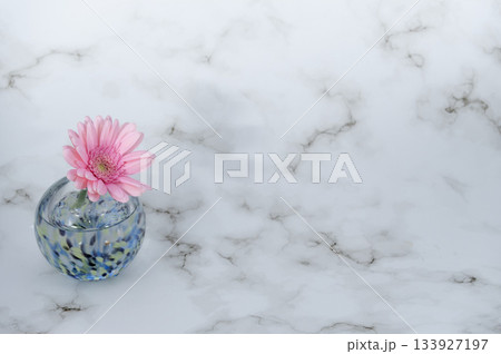 寒色でガラスの一輪挿しに挿し一輪の桃色いガーベラの花(左下配置) 寒色でガラスの一輪挿しに挿し一輪の桃色いガーベラの花(左下配置) 133927197