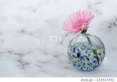 寒色でガラスの一輪挿しに挿し一輪の桃色のガーベラの花(右配置) 寒色でガラスの一輪挿しに挿し一輪の桃色のガーベラの花(右配置) 133927202