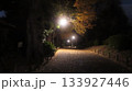 夜のイチョウ　公園 133927446