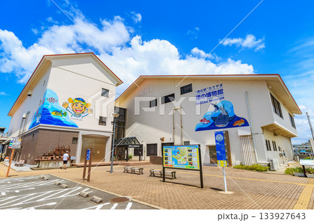 千葉県 館山市 渚の駅たてやま(渚の博物館) 千葉県 館山市 渚の駅たてやま(渚の博物館) 133927643