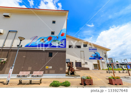 千葉県 館山市 渚の駅たてやま(渚の博物館) 千葉県 館山市 渚の駅たてやま(渚の博物館) 133927648