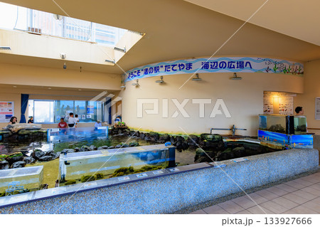 千葉県　館山市　渚の駅たてやま（海辺の広場 ） 133927666