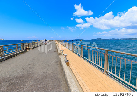 千葉県　館山市　渚の駅たてやまの横にある 館山夕日桟橋 133927676
