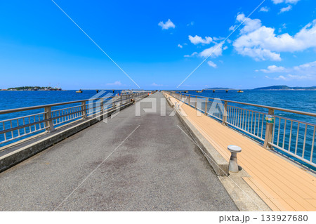 千葉県　館山市　渚の駅たてやまの横にある 館山夕日桟橋 133927680