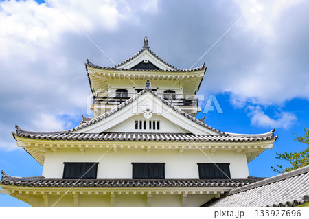 千葉県　館山市　城山公園にある館山城 八犬伝博物館 133927696