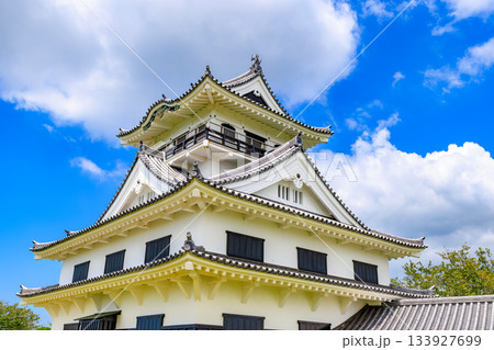 千葉県　館山市　城山公園にある館山城 八犬伝博物館 133927699