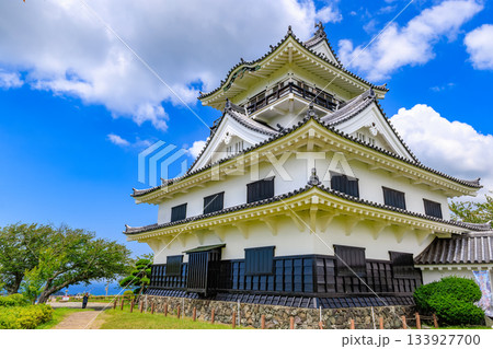 千葉県 館山市 城山公園にある館山城 八犬伝博物館 千葉県 館山市 城山公園にある館山城 八犬伝博物館 133927700