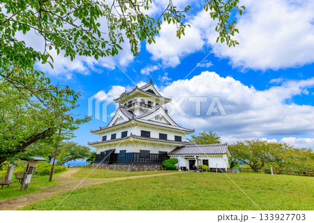 千葉県　館山市　城山公園にある館山城 八犬伝博物館 133927703