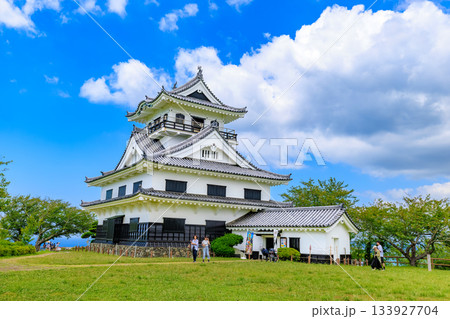 千葉県　館山市　城山公園にある館山城 八犬伝博物館 133927704