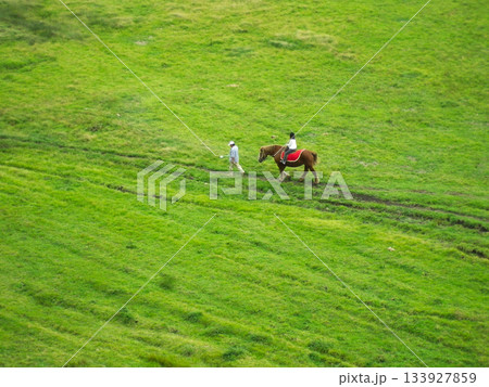 阿蘇の草原を駆ける乗馬体験 133927859