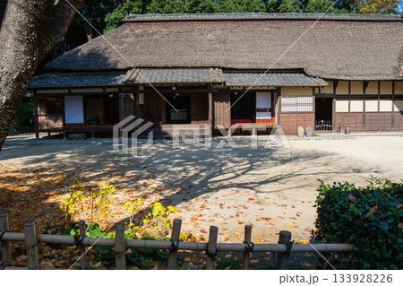 茅葺屋根と落ち葉 茅葺屋根と落ち葉 133928226