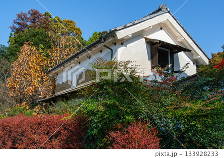 蔵と紅葉 蔵と紅葉 133928233