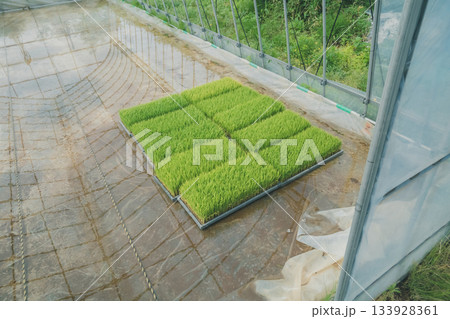 Agriculture Agriculture 133928361
