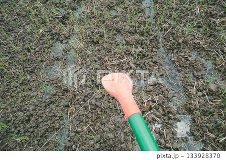 Agriculture 133928370