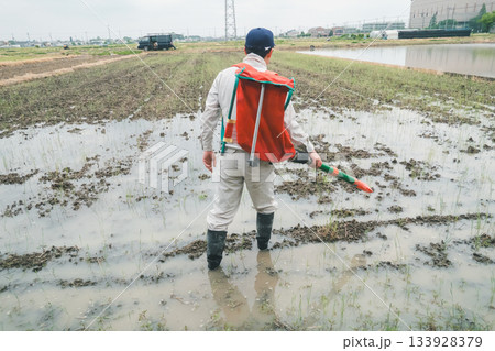 Agriculture 133928379