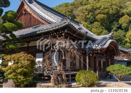 神戸・紅葉の須磨寺の書院 133928536