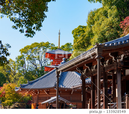 神戸・紅葉の須磨寺 神戸・紅葉の須磨寺 133928549
