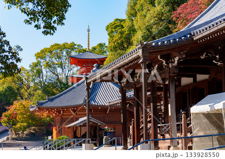 神戸・紅葉の須磨寺 133928550