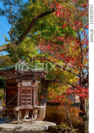 神戸・紅葉の須磨寺の写経輪堂 133928555