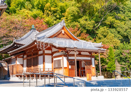 神戸・紅葉の須磨寺 神戸・紅葉の須磨寺 133928557