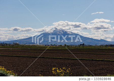 コメ・米ロードの岩木山(中泊町) コメ・米ロードの岩木山(中泊町) 133928646