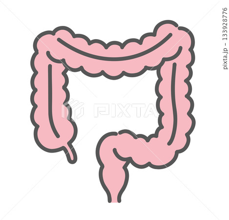 大腸（だいちょう）のイラスト 133928776