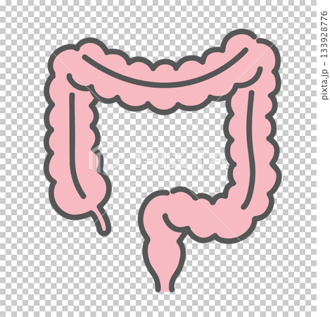 大腸（だいちょう）のイラスト 133928776