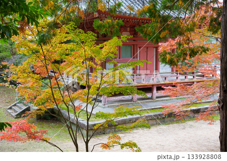 秋の神戸・太山寺・三重塔と紅葉 133928808