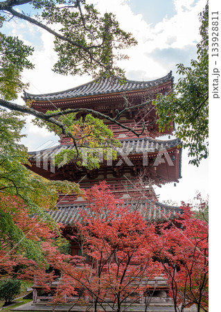 秋の神戸・太山寺・三重塔と紅葉 秋の神戸・太山寺・三重塔と紅葉 133928811