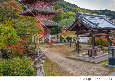 秋の神戸・太山寺・三重塔と紅葉 秋の神戸・太山寺・三重塔と紅葉 133928813