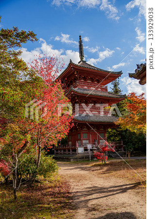 秋の神戸・太山寺・三重塔と紅葉 133929038