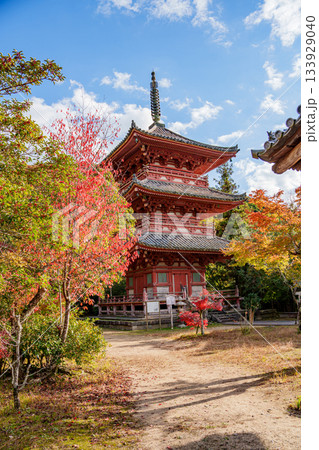 秋の神戸・太山寺・三重塔と紅葉 秋の神戸・太山寺・三重塔と紅葉 133929040