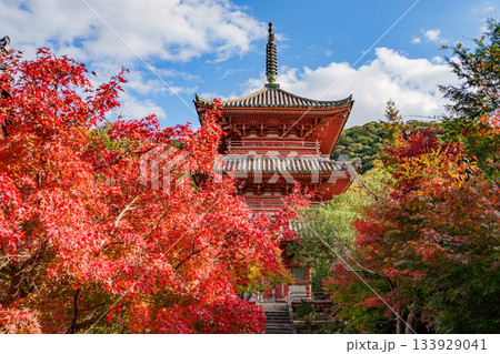 秋の神戸・太山寺・三重塔と紅葉 133929041