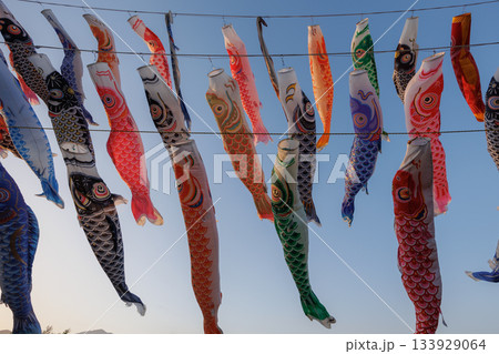 鈴川こいのぼり（神奈川県平塚市） 133929064