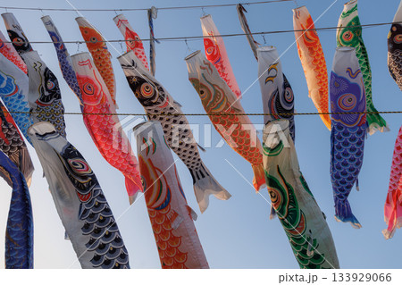 鈴川こいのぼり（神奈川県平塚市） 133929066