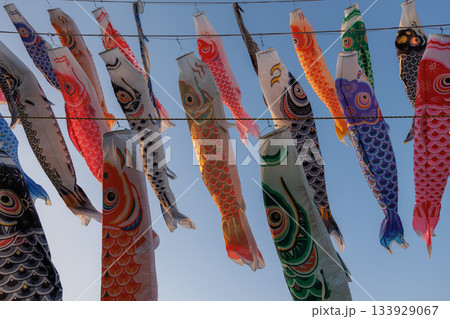 鈴川こいのぼり(神奈川県平塚市) 鈴川こいのぼり(神奈川県平塚市) 133929067