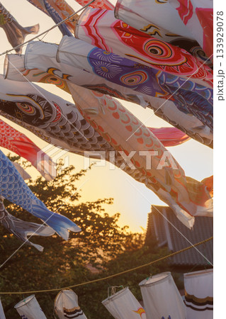 鈴川こいのぼり（神奈川県平塚市） 133929078