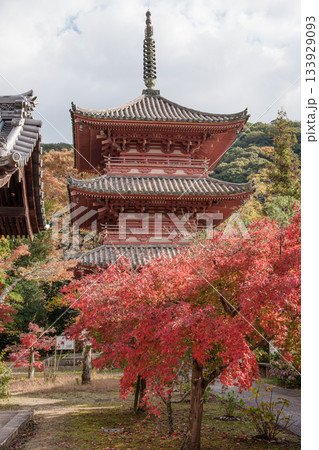 秋の神戸・太山寺・三重塔と紅葉 133929093
