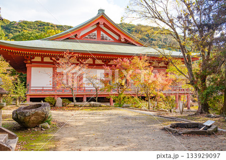 秋の神戸・太山寺・本堂と紅葉 133929097