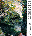 美しい緑の苔が生える渓流の岩場 133929193
