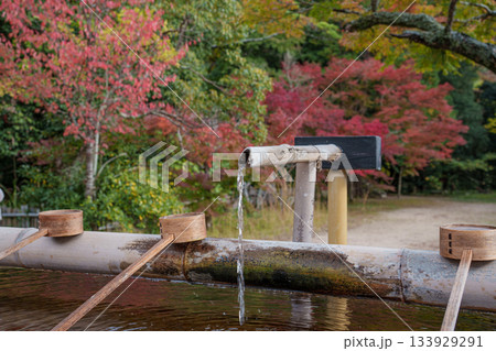 秋の神戸・太山寺・手水舎と紅葉 133929291