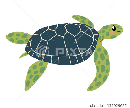 Sea Turtle Cartoon Character Vector Illustration 133929625
