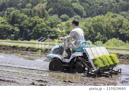 田植え機で田植えをする若い男性 米農家 田植え機で田植えをする若い男性 米農家 133929660