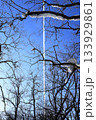 枯れた枝 133929861