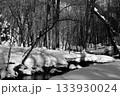 雪の積もった森 133930024