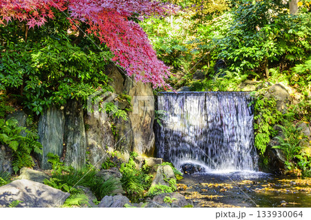 東京都　小石川後楽園　白糸の滝　紅葉の風景　国の特別史跡 133930064