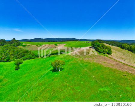 北の大地　夏 133930160