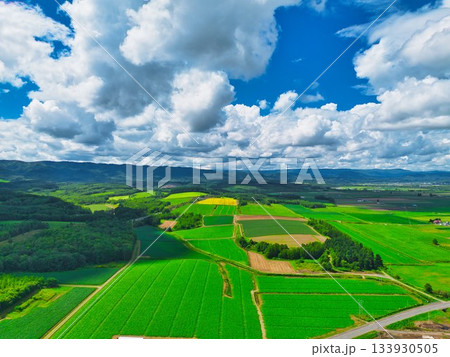 北の大地 夏 北の大地 夏 133930505