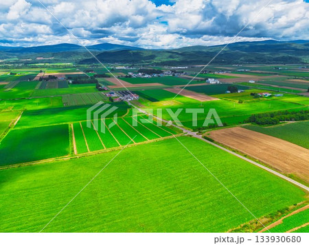 北の大地　夏 133930680